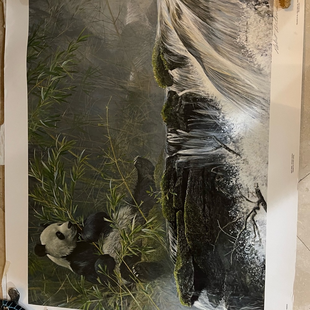 VINTAGE SIGNED The Giant Panda Painting by Robert Bateman 1985